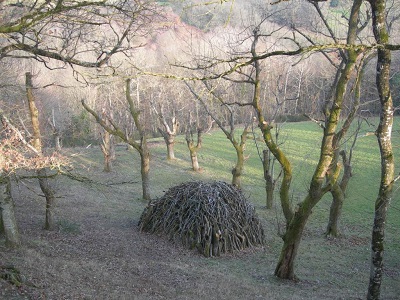 Chataigneraie fraichement rénovée