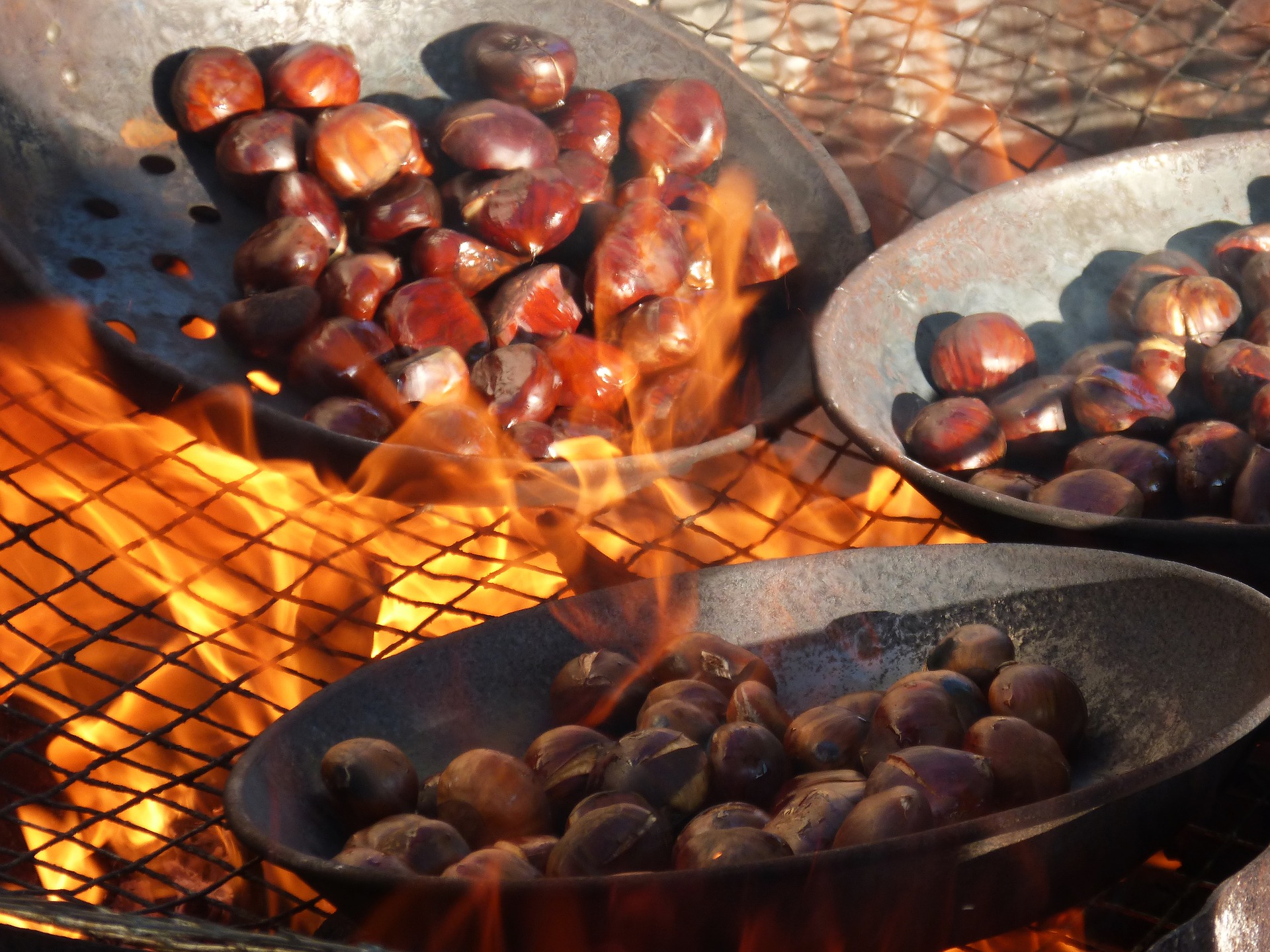 chestnuts-1783878_1920