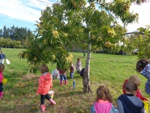 Lire la suite à propos de l’article Education à l’environnement pour les enfants